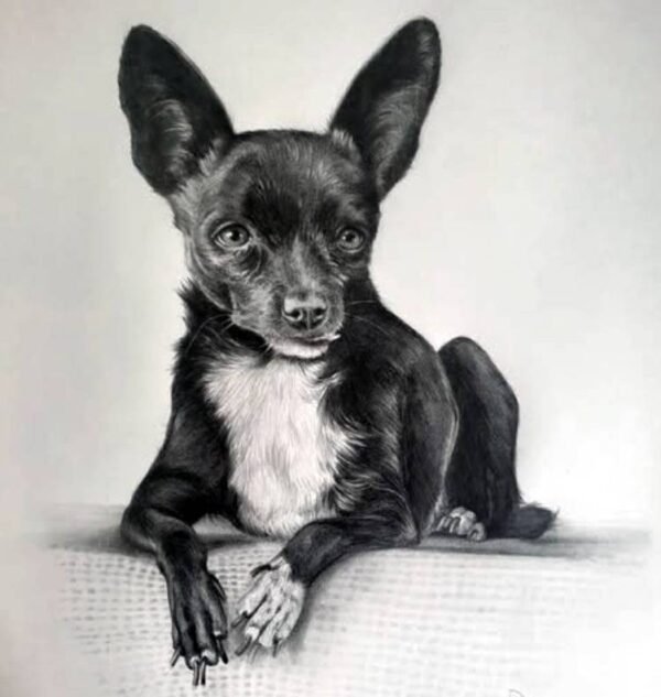 Retrato de mascota DIN A2